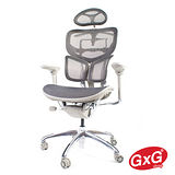 《吉加吉》GXG Furniture 至尊系列 頂級人體工學網椅 主管椅 鋁合金材質(拋光鋁合金灰色)-DIY組裝