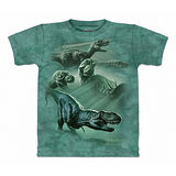 『摩達客』(預購)美國進口【The Mountain】自然純棉系列 恐龍群 設計T恤-童裝