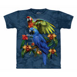 『摩達客』(預購)美國進口【The Mountain】自然純棉系列 熱帶鸚鵡 設計T恤