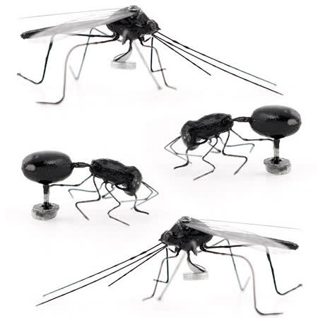 【勸敗】gohappy快樂購物網《KIKKERLAND》蚊子螞蟻磁鐵組開箱板橋 遠 百 地址