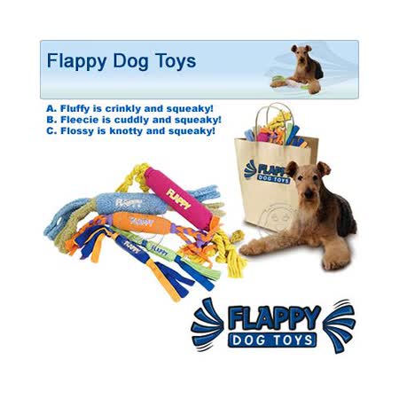 【網購】gohappy 線上快樂購美國FLAPPY《玩耍專家系列》有助潔牙的耐咬玩具 - S推薦遠 百 台中