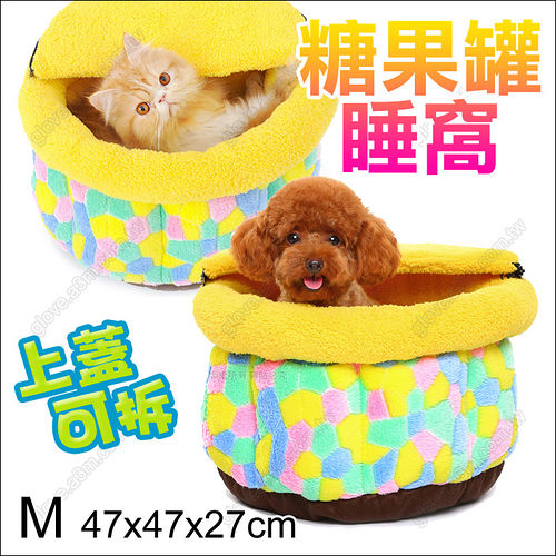 寒流來也不怕~毛小孩保暖必備品 寒流來也不怕~毛小孩保暖必備品
