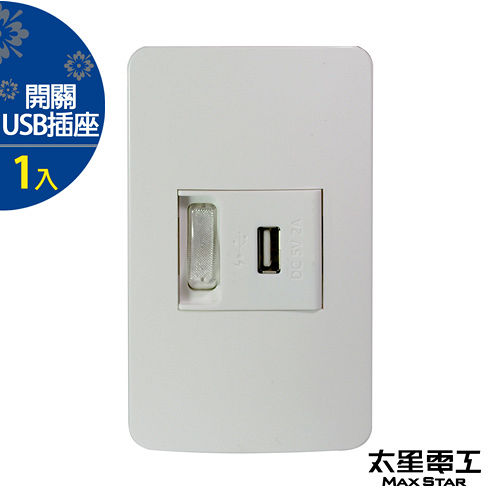 【太星電工】聯蓋帶開關-USB單插座(1入) A414D. 【太星電工】聯蓋帶開關-USB單插座(1入) A414D.