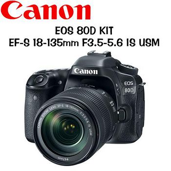 CANON EOS 6D 24-105mm IS STM(公司货)-送