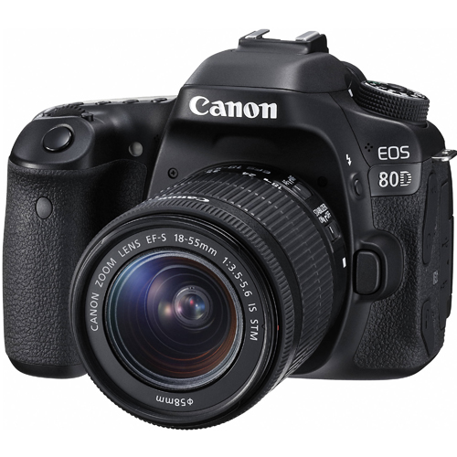 Canon EOS 80D + 18-55mm STM 單鏡組*(中文平輸)-送強力大吹球+細纖維拭鏡布+極細毛刷+數位清潔液+硬式保護貼