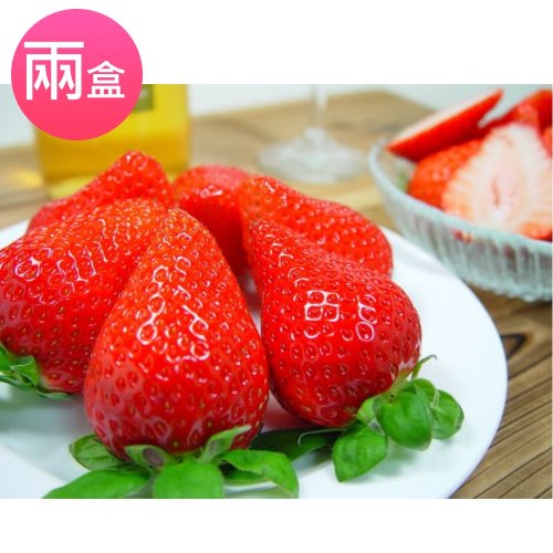 【鄒頌】台灣大湖網室草莓【約30-36顆/盒】(兩盒入)
