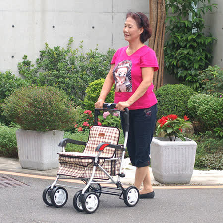 MIT銀髮族散步車/步行輔助遠 百 周年 慶 時間車/購物車 外銷韓國《F238》