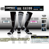 【ZOOT SPORT 】專業級肌能回復襪