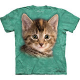 『摩達客』美國進口【The Mountain】自然純棉系列 泰勒小貓設計T恤 (預購)