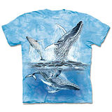 『摩達客』(預購)美國進口【The Mountain】自然純棉系列 尋十一鯨群 設計T恤