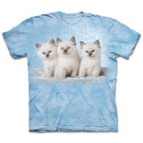 『摩達客』(預購)美國進口【The Mountain】自然純棉系列 雲朵小貓 設計T恤