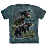 『摩達客』(預購)美國進口【The Mountain】自然純棉系列 三熊鼎立 設計T恤