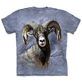 『摩達客』(預購)美國進口【The Mountain】自然純棉系列 大角羊 設計T恤