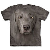 『摩達客』*大尺碼3XL*(預購)美國進口【The Mountain】自然純棉系列 威瑪獵犬臉 設計T恤