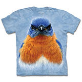 『摩達客』*大尺碼3XL*(預購)美國進口【The Mountain】自然純棉系列 橘領知更鳥 設計T恤