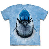 『摩達客』(預購)美國進口【The Mountain】自然純棉系列 藍冠鳥 設計T恤