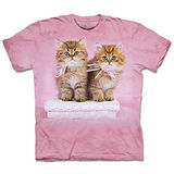 『摩達客』(預購)美國進口【The Mountain】自然純棉系列 緞帶小貓 設計T恤